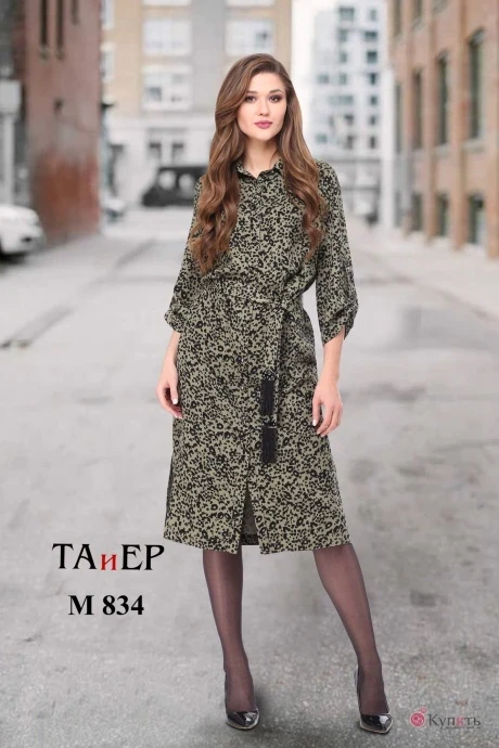 TAiER 834