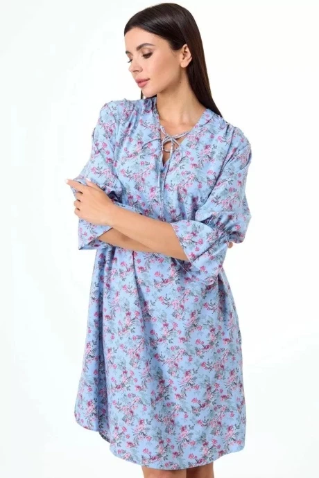 Anelli 1054