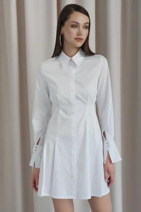 Davydov 9081