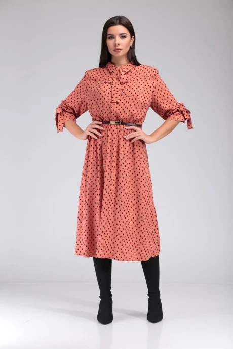 Такка плюс 20-083