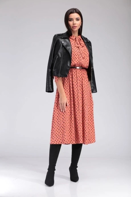 Такка плюс 20-083