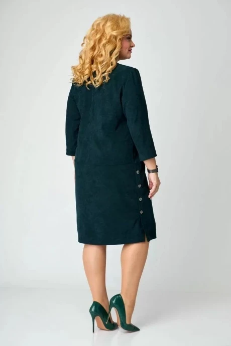 Багряница 2207