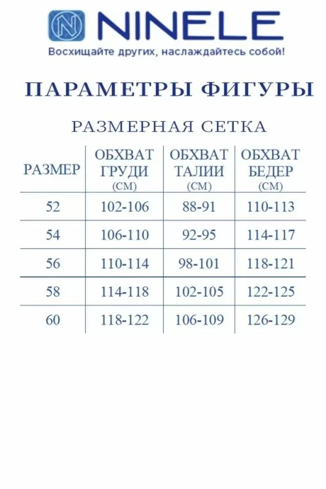 Нинель Шик 2211