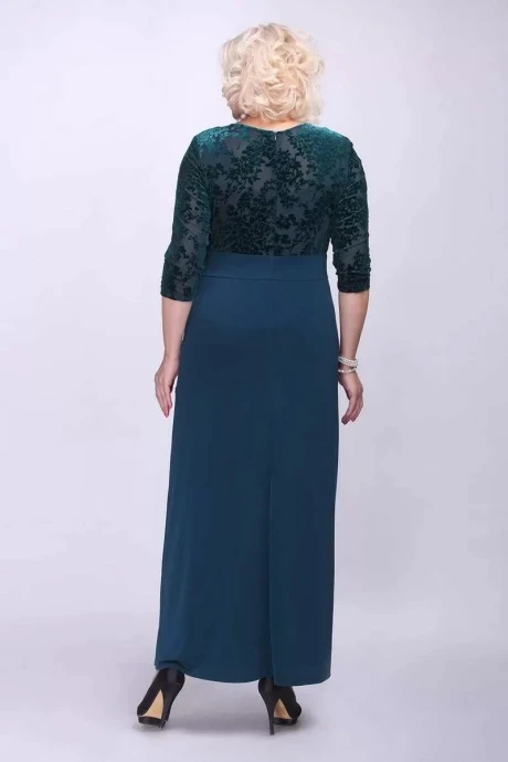 Camelia 20116/1