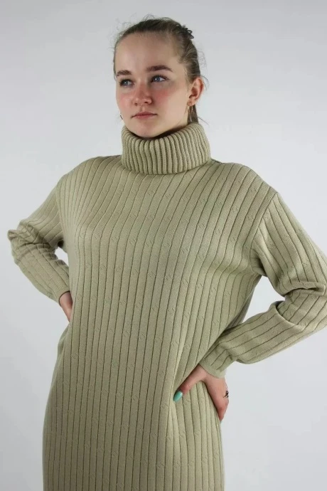 Полесье С4767-211С1059-Д43