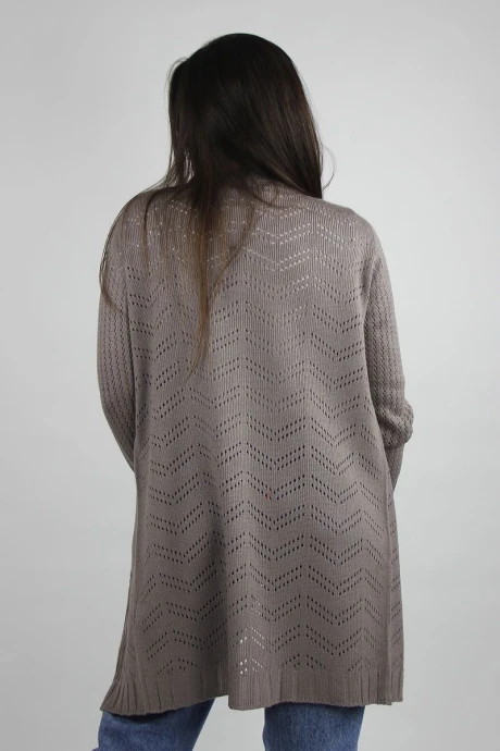 Полесье С2503-20 1С1065-Д43