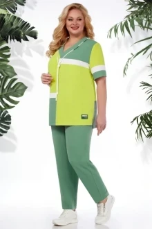 Брючный костюм Bagira 876 двойка