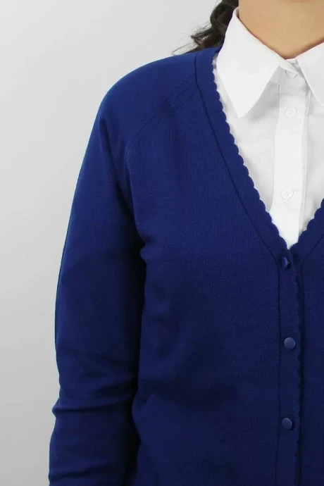 Полесье С2555-211С8688-Д43