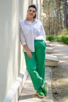 ANDINA 228