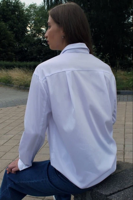 Arisha 2046