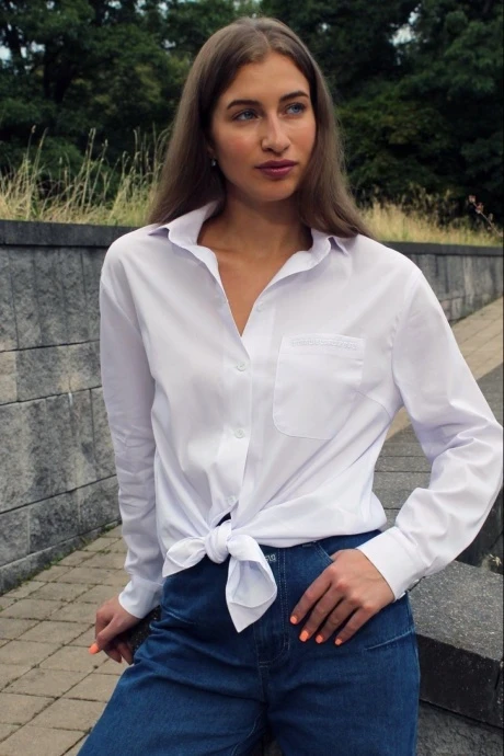 Arisha 2046