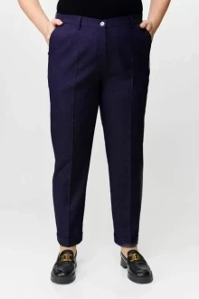 Брюки TricoTex Style 2520/1 синий