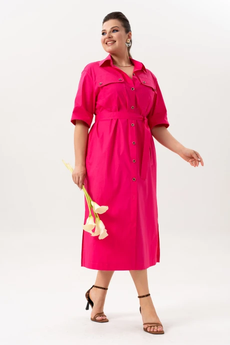 ANDINA 835-1