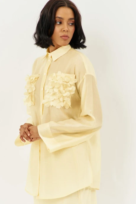 *Распродажа FLAIM 2009