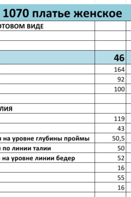 Bagira 1070
