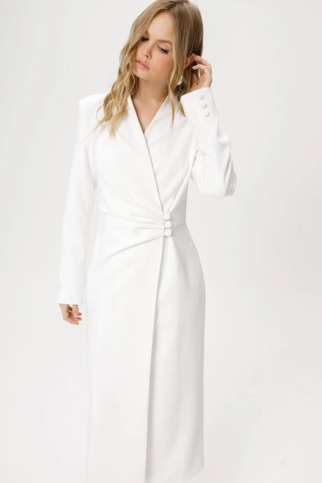 PiRS 6299