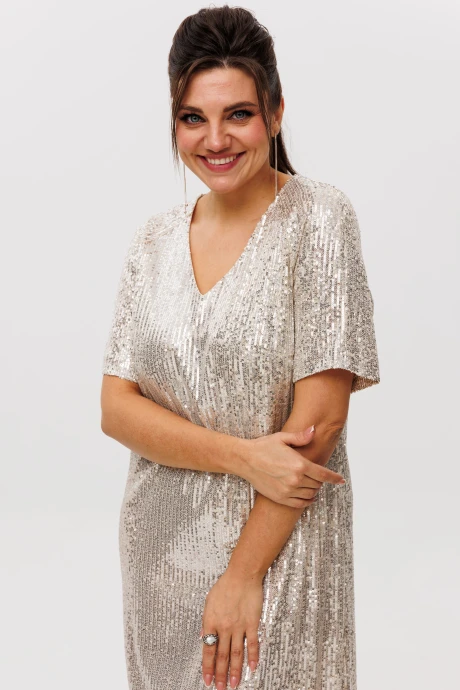 Anelli 1797