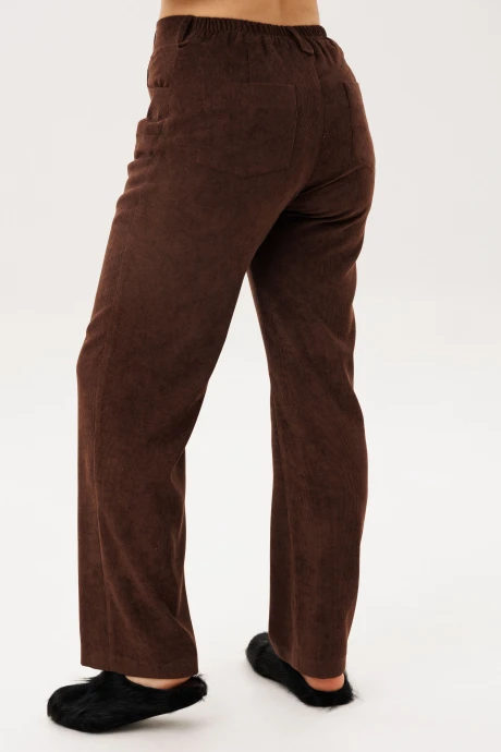 Anelli 1815
