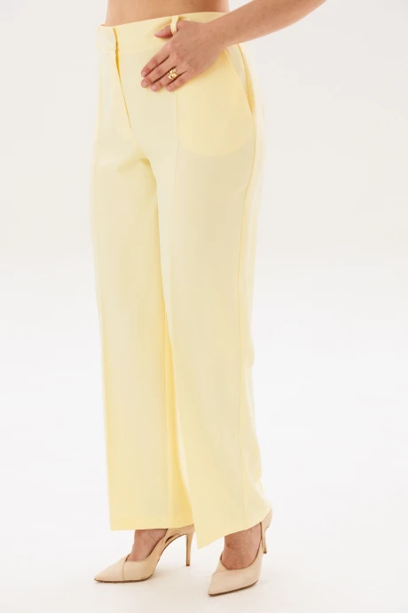 Anelli 1856