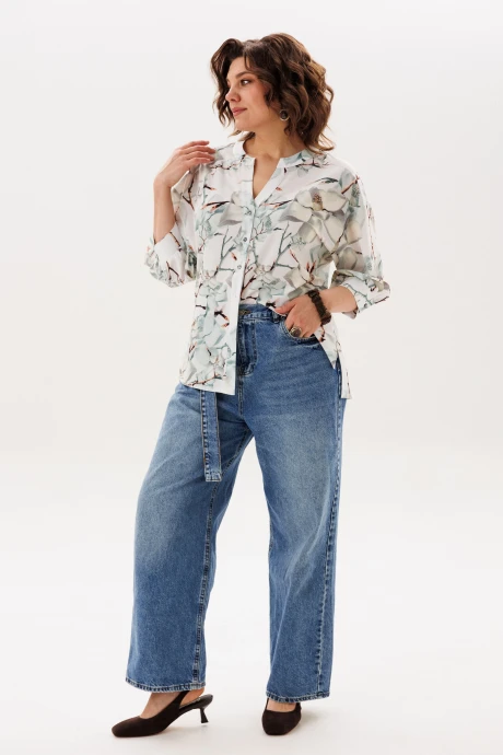Anelli 1854