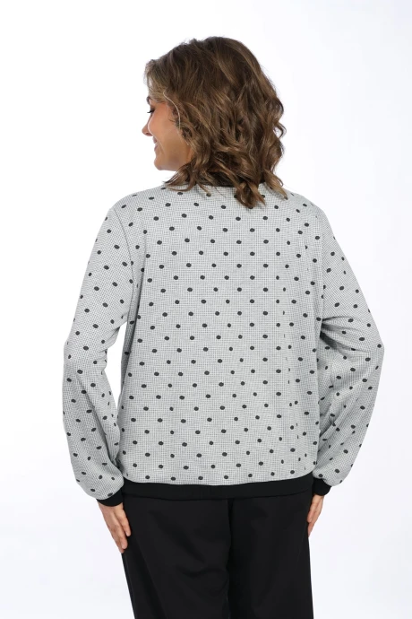 ALANI COLLECTION 2679